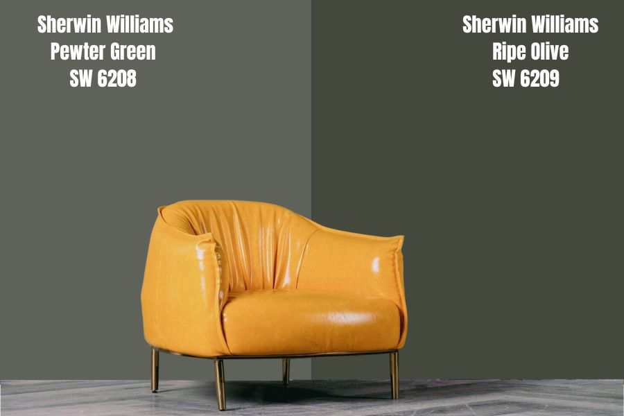 Sherwin Williams Pewter Green vs. Ripe Olive SW 6209