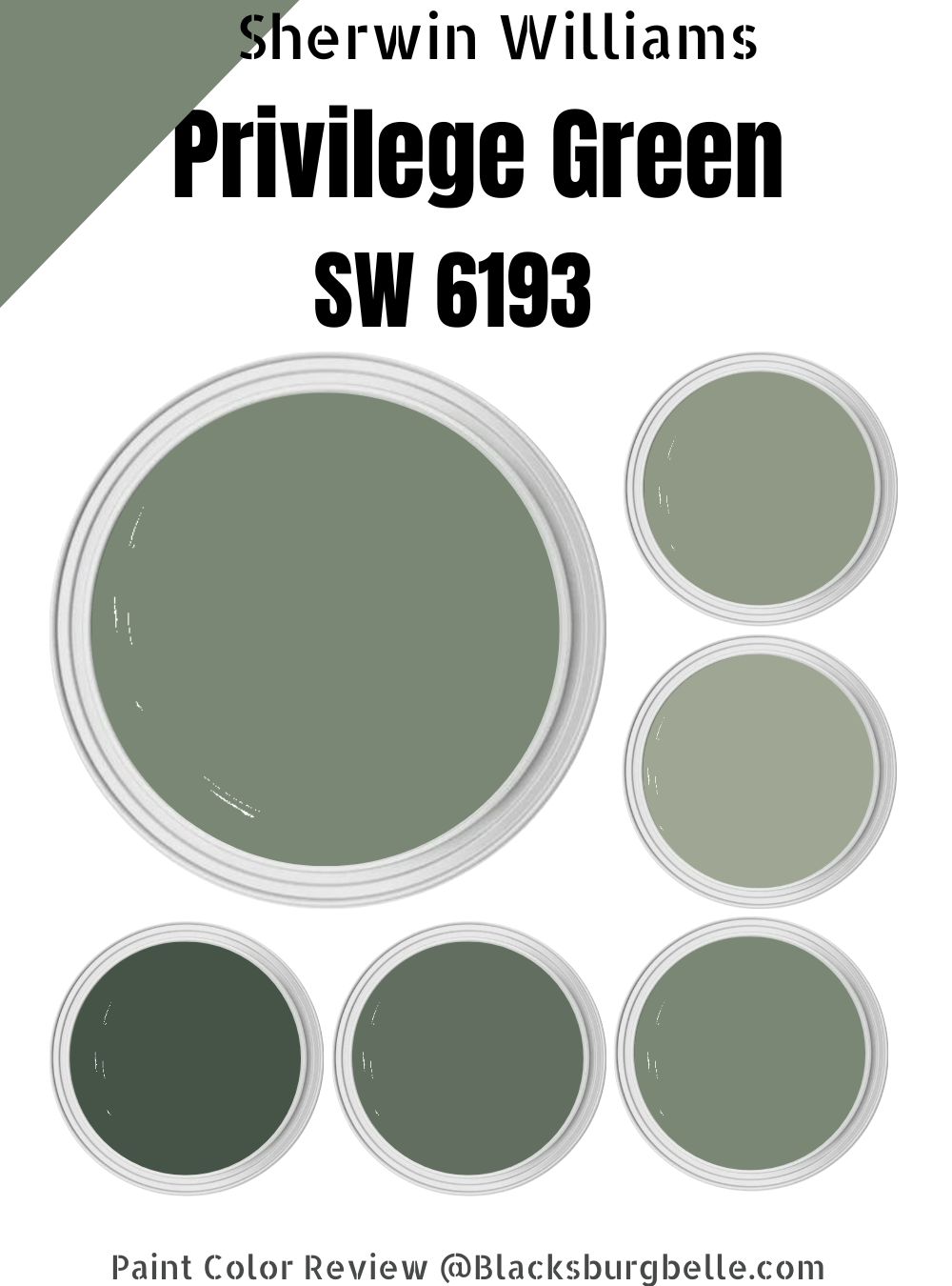 Sherwin Williams Privilege Green (SW 6193) Paint Color Review
