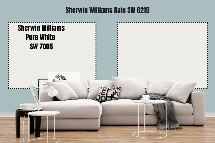 Sherwin Williams Pure White SW 7005