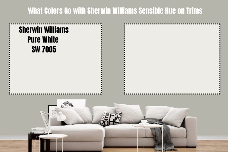 Sherwin Williams Pure White SW 7005