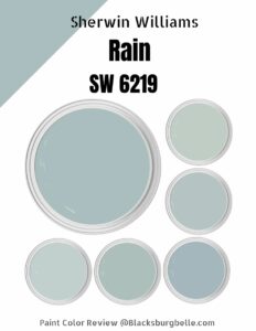 Sherwin Williams Rain (SW 6219) Paint Color Review