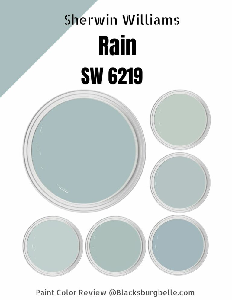 Sherwin Williams Rain (SW 6219) Paint Color Review