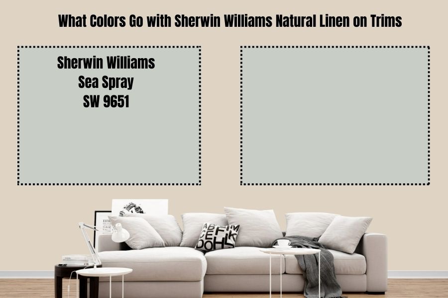 Sherwin Williams Sea Spray SW 9651