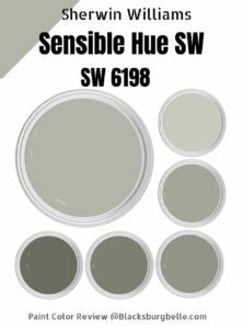 Sherwin Williams Sensible Hue (SW 6198) Paint Color Review & Pics