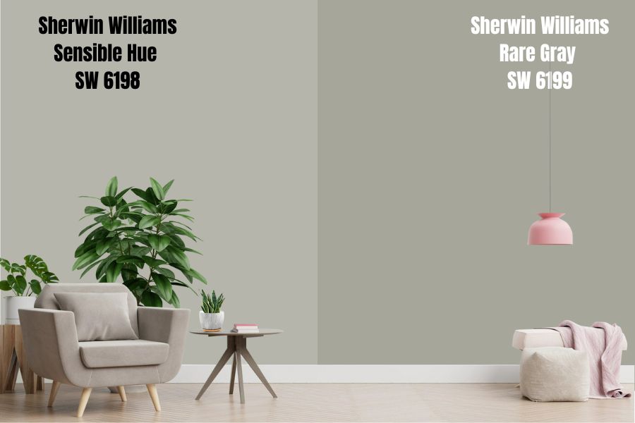 Sherwin Williams Sensible Hue vs. Rare Gray SW 6199