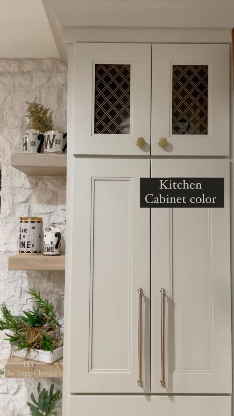 Sherwin Williams Shiitake Cabinets2