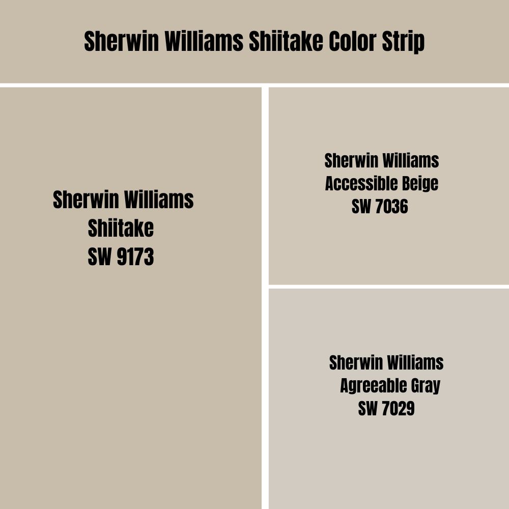 Sherwin Williams Shiitake Color Strip