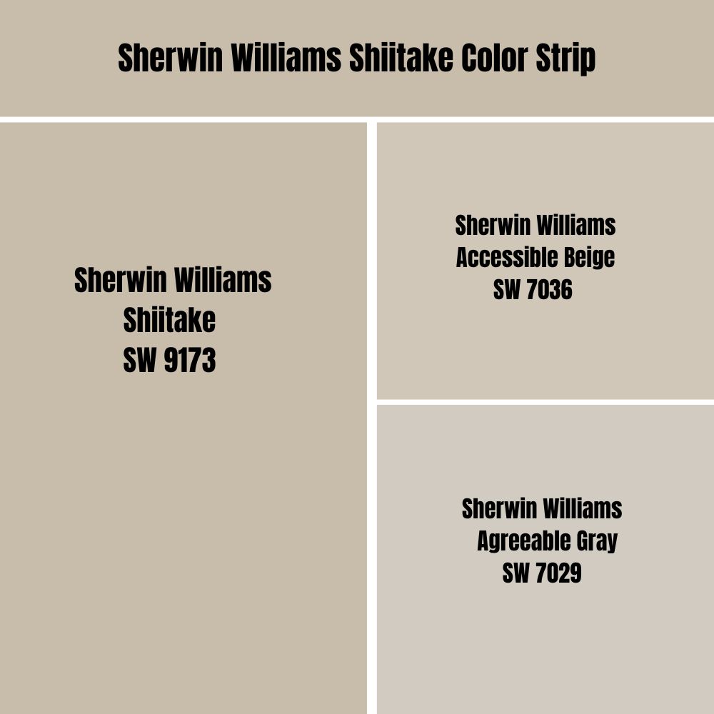 Sherwin Williams Shiitake Palette Coordinating Inspirations