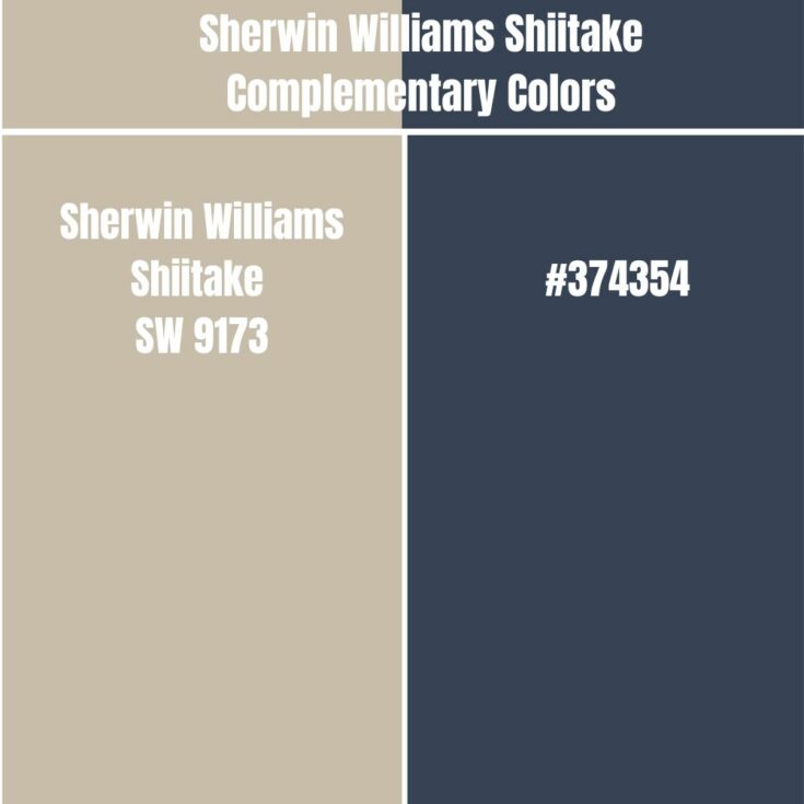 Sherwin Williams Shiitake Palette Coordinating Inspirations sherwin-williams-shiitake-palette-coordinating-inspirations