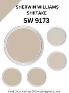 Sherwin Williams Shiitake (SW 9173) Paint Color Review And Pics