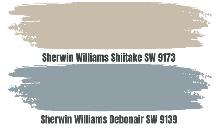 Sherwin Williams Shiitake SW 9173