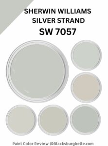 Sherwin Williams Silver Strand (SW 7057) Paint Color Review & Pics