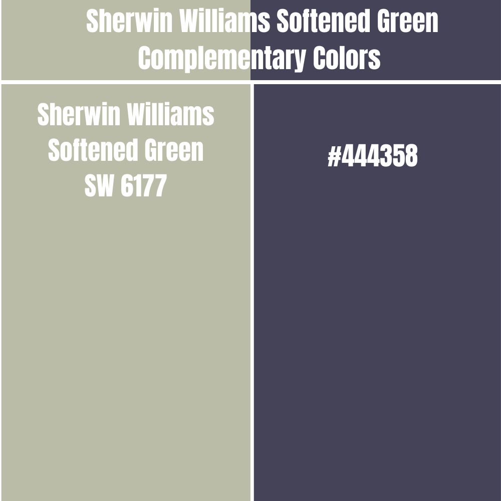 Sherwin Williams Softened Green Complementary Colors