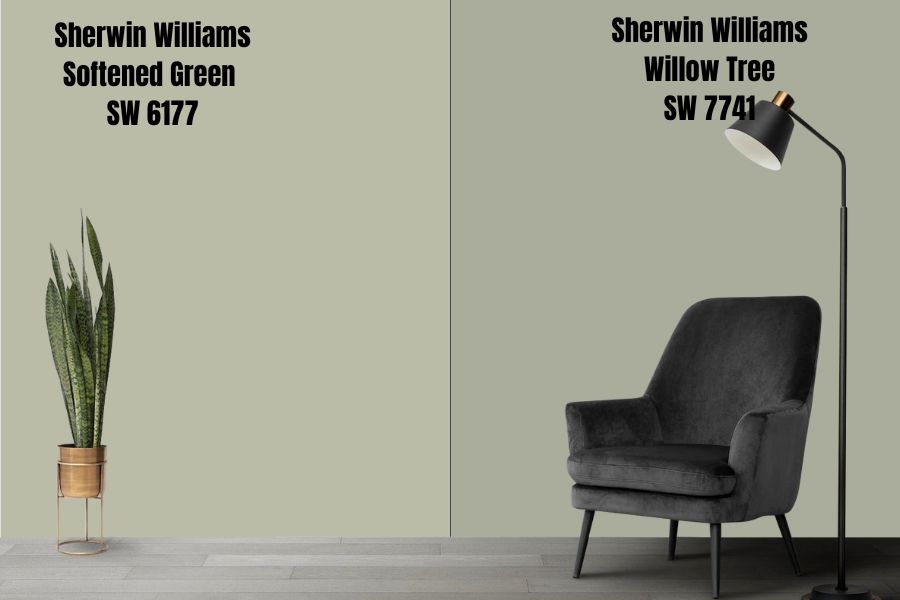 Sherwin Williams Softened Green vs. Willow Tree SW 7741