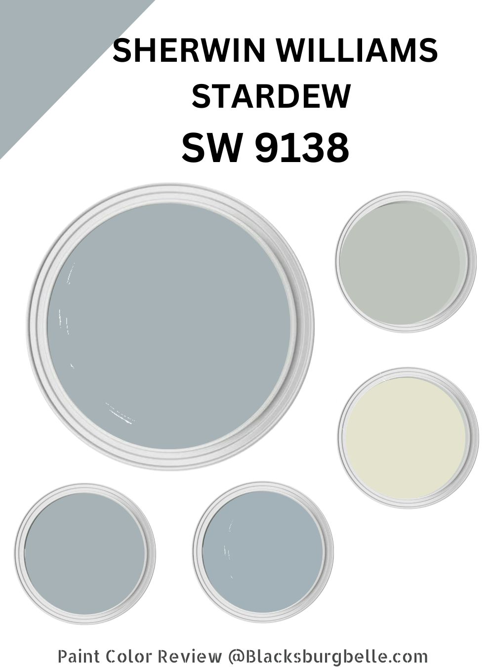 Sherwin Williams Stardew (SW 9138) Paint Color Review & Pics