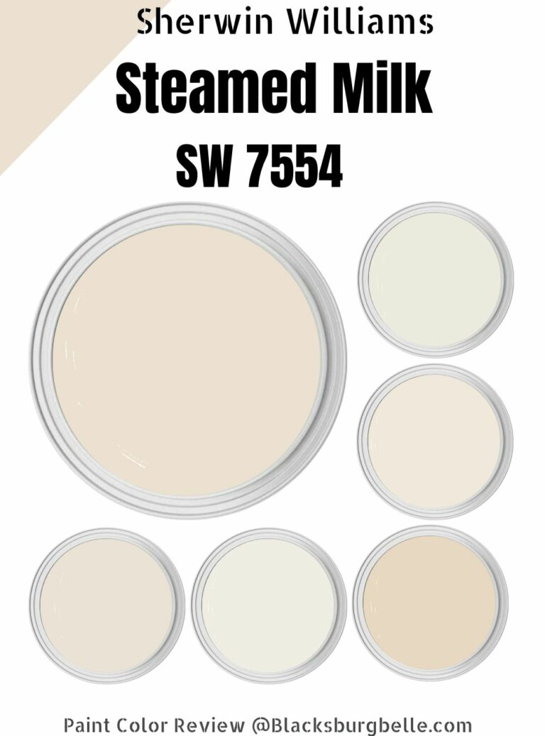 Sherwin Williams Steamed Milk (SW 7554) Paint Color Review