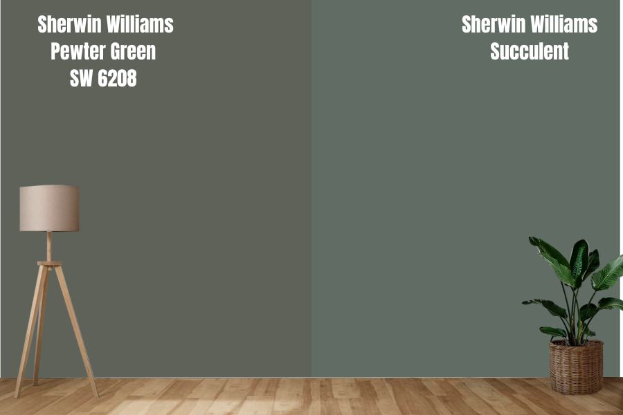 Sherwin Williams Succulent vs. Pewter Green SW 6208