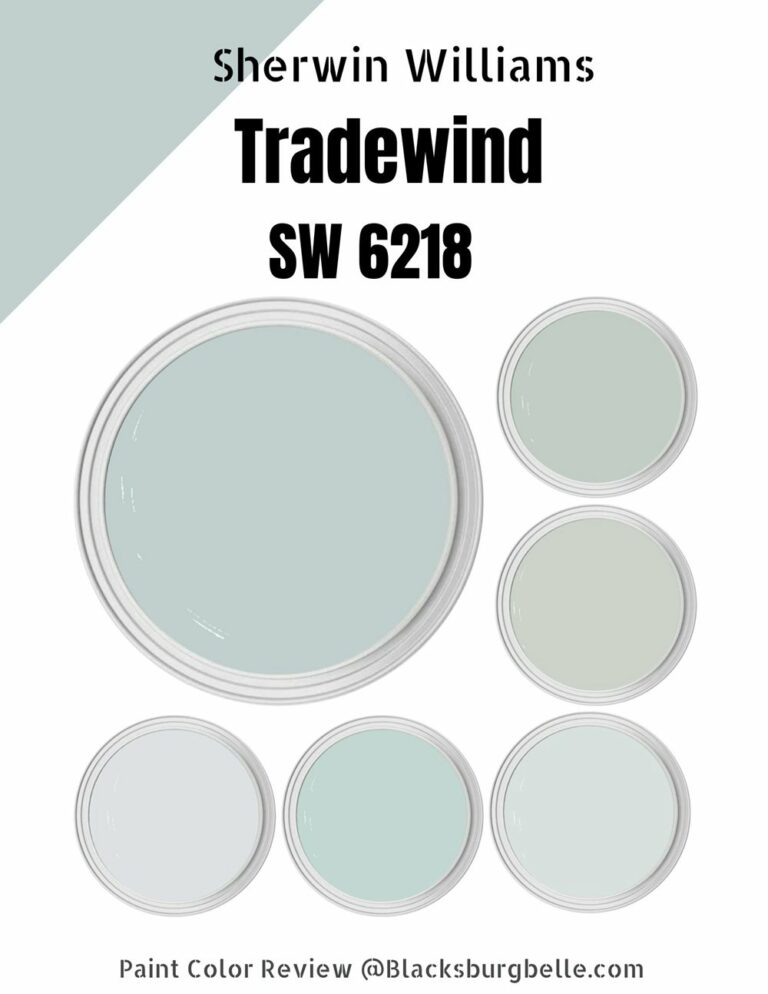 Sherwin Williams Tradewind (SW 6218) Paint Color Review