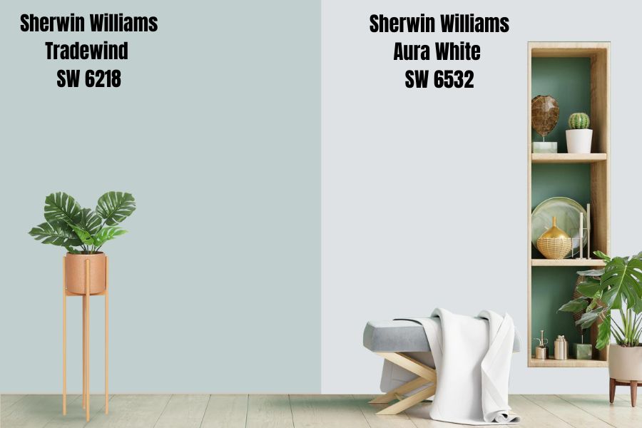 Sherwin Williams Tradewind vs. Aura White SW 6532