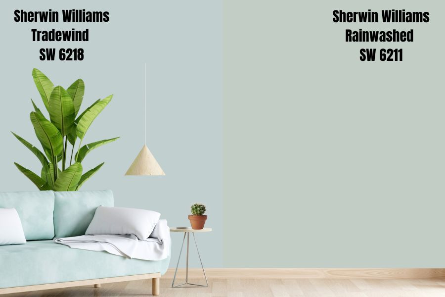 Sherwin Williams Tradewind vs. Rainwashed SW 6211