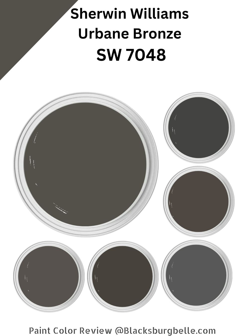 Sherwin Williams Urbane Bronze (SW 7048) Paint Color Review & Pics