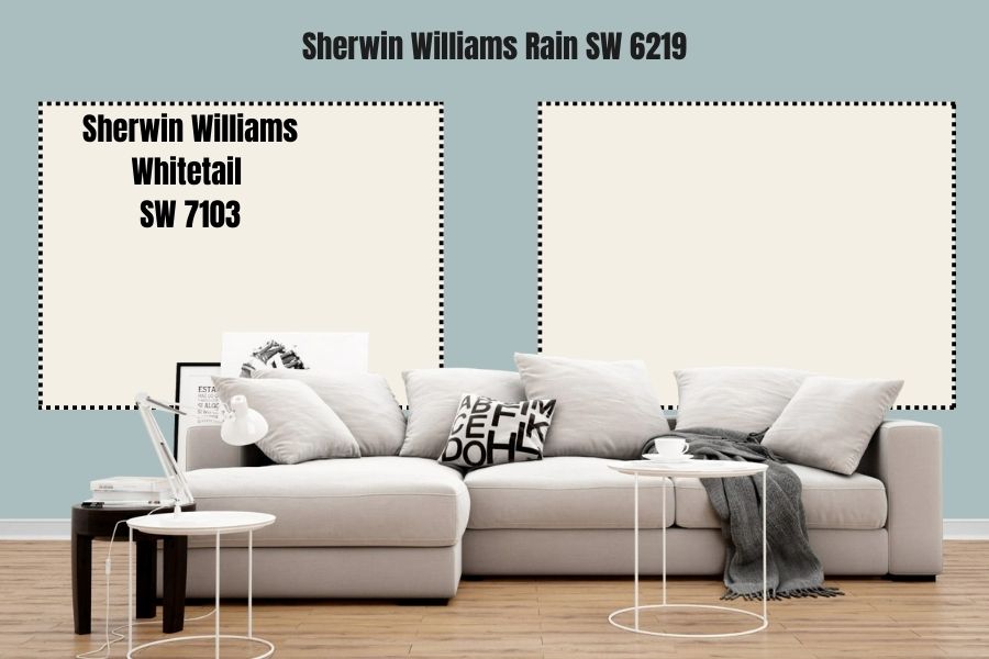 Sherwin Williams Whitetail SW 7103