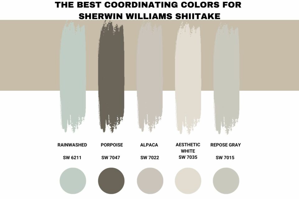 Sherwin Williams Shiitake (Palette, Coordinating & Inspirations)
