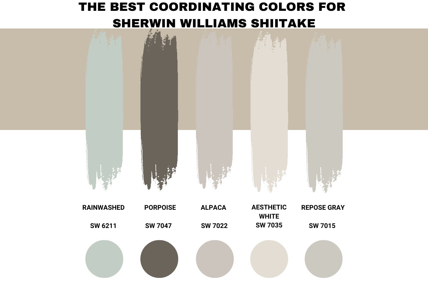 The Best Coordinating Colors for Sherwin Williams Shiitake