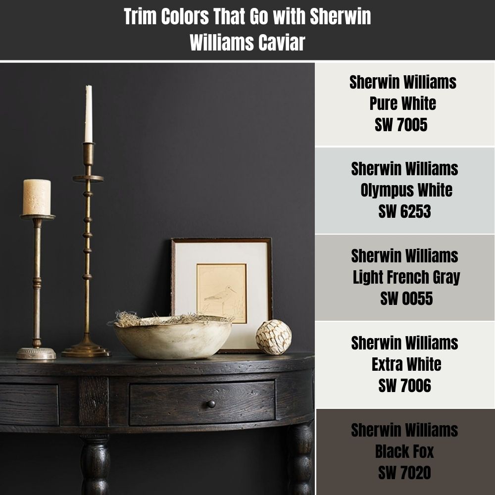 Trim Colors That Go with Sherwin Williams Caviar