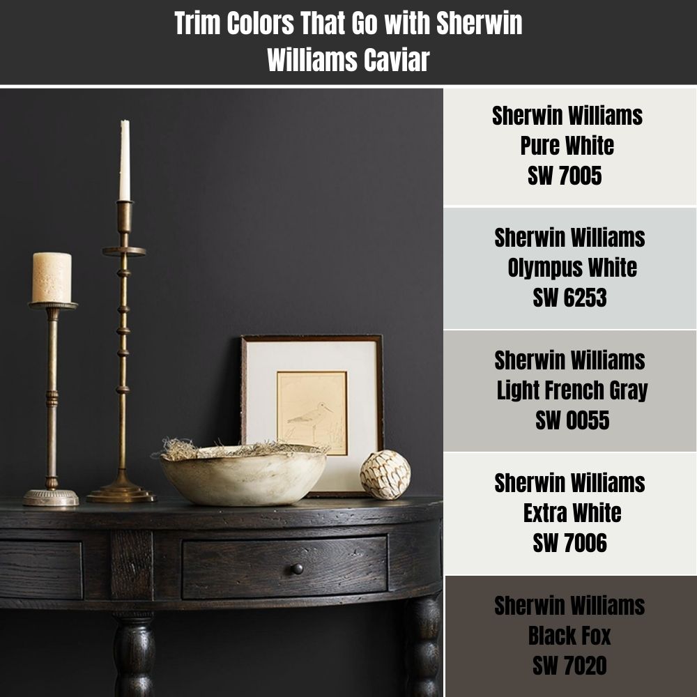 Sherwin shop williams caviar