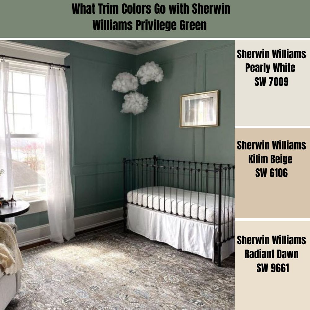 What Trim Colors Go with Sherwin Williams Privilege Green 