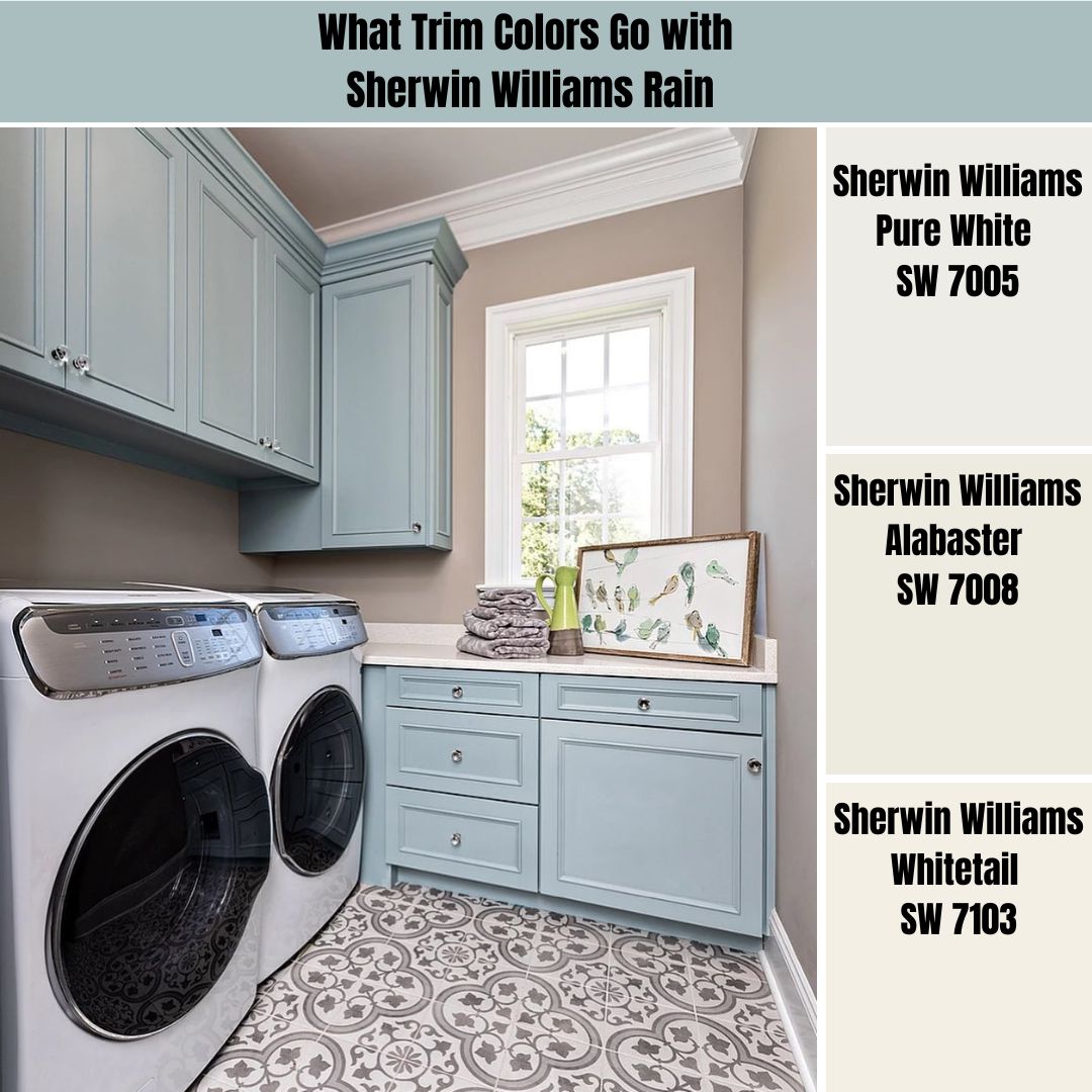 What Trim Colors Go with Sherwin Williams Rain