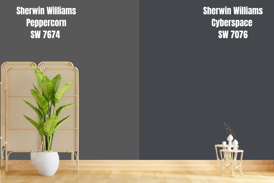 Cyberspace vs Sherwin Williams Peppercorn