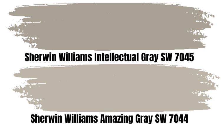 Intellectual Gray vs. Amazing Gray