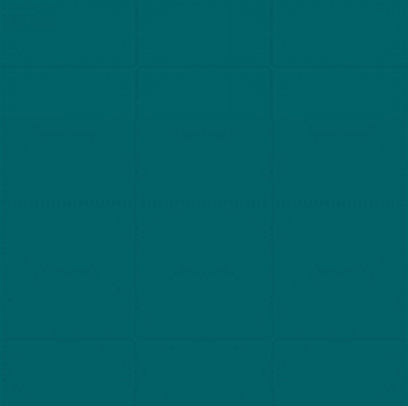 SW 6489