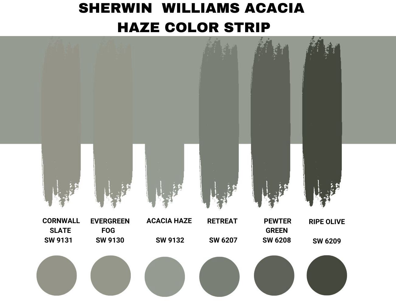 Sherwin Williams Acacia Haze Color Strip
