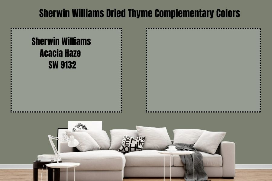 Sherwin Williams Acacia Haze SW 9132