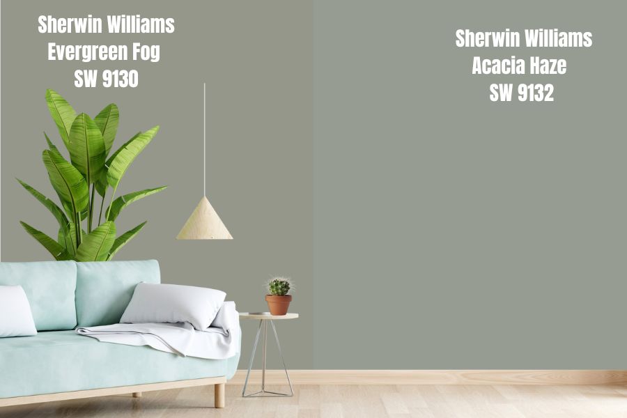 Sherwin Williams Acacia Haze SW 9132