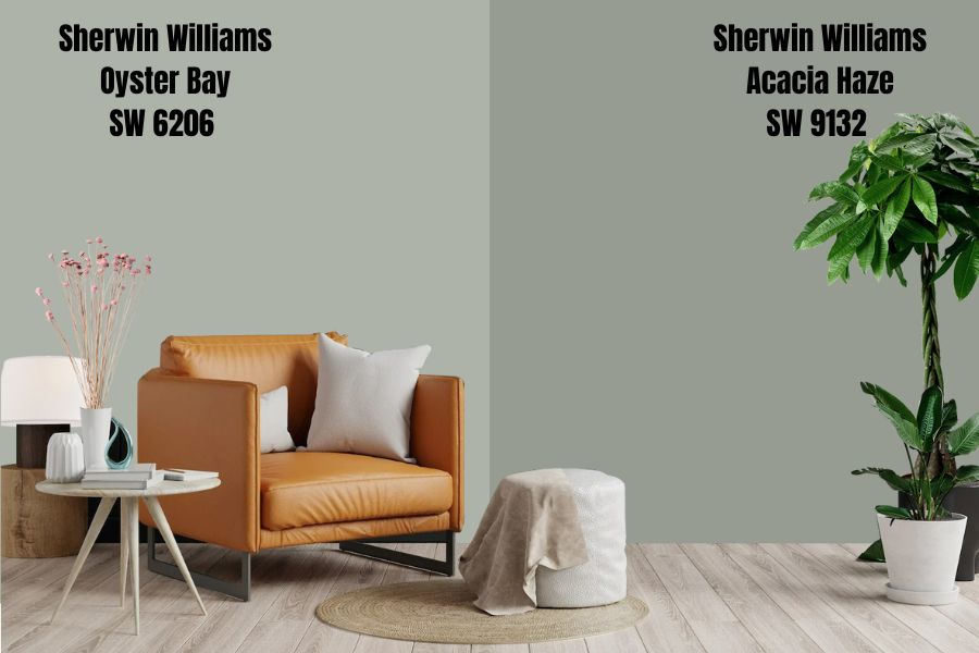 Sherwin Williams Acacia Haze (SW 9132)