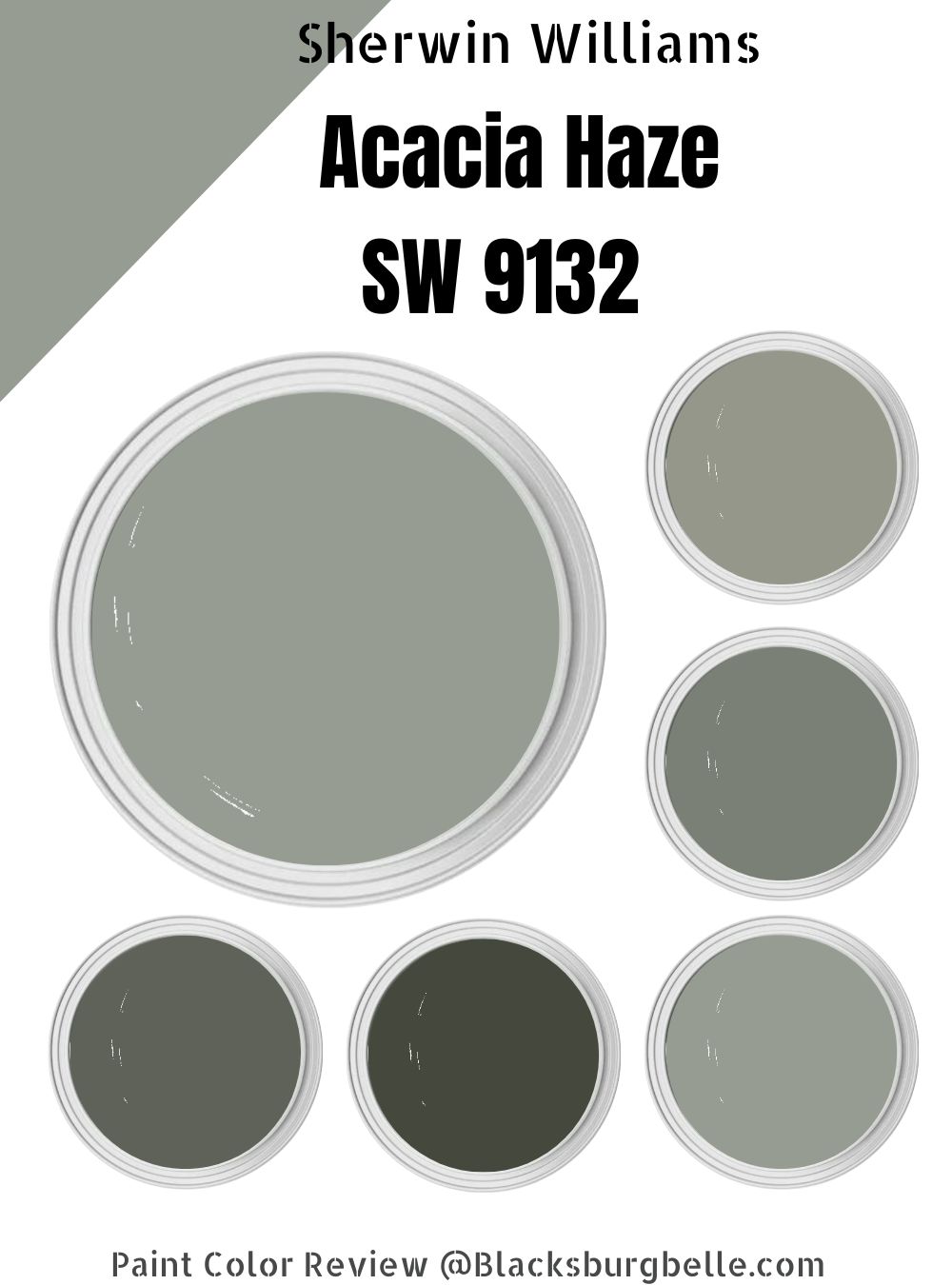 Sherwin Williams Acacia Haze SW 9132