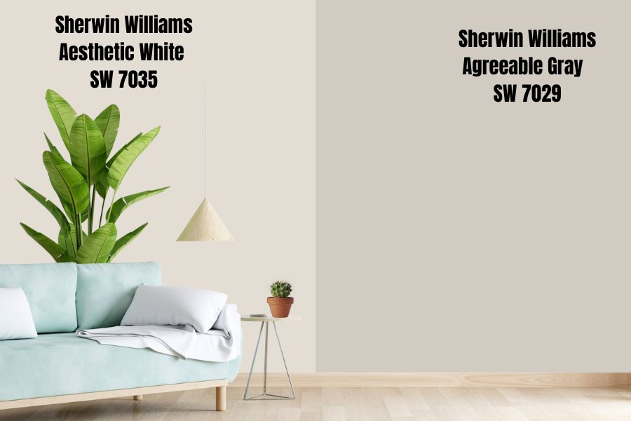 Sherwin Williams Agreeable Gray SW7029