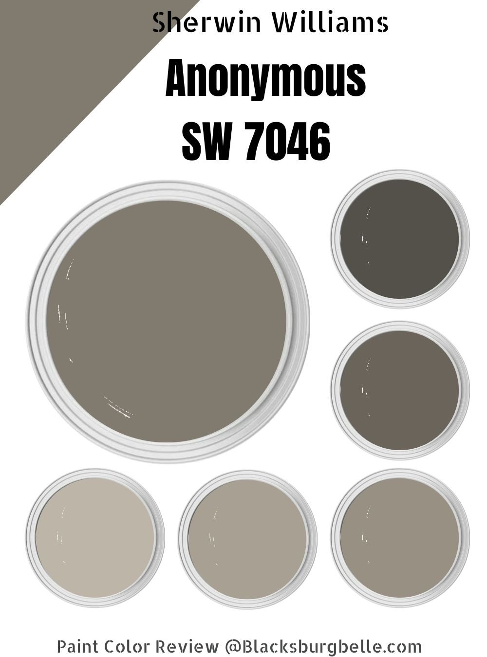 Sherwin Williams Anonymous SW 7046 