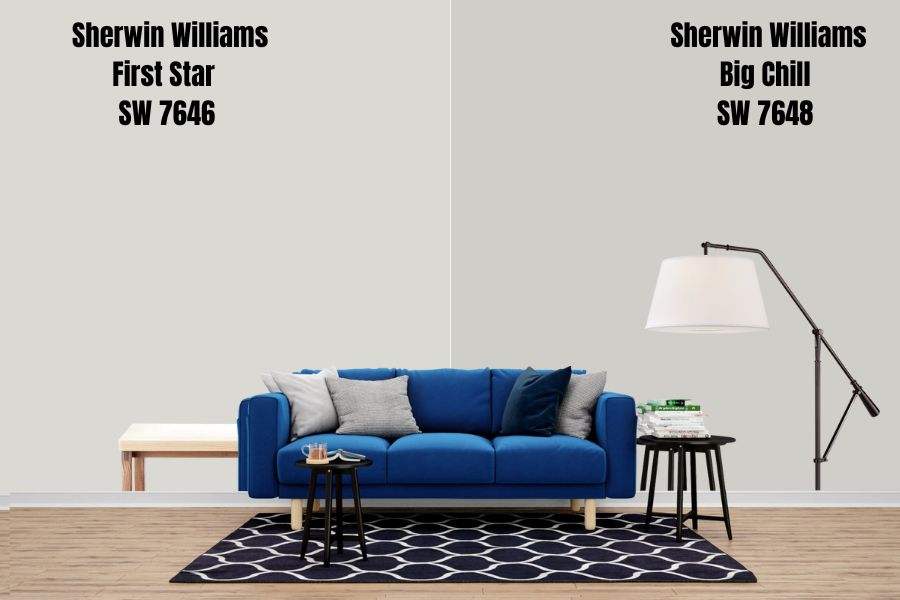 Sherwin Williams Big Chill SW 7648