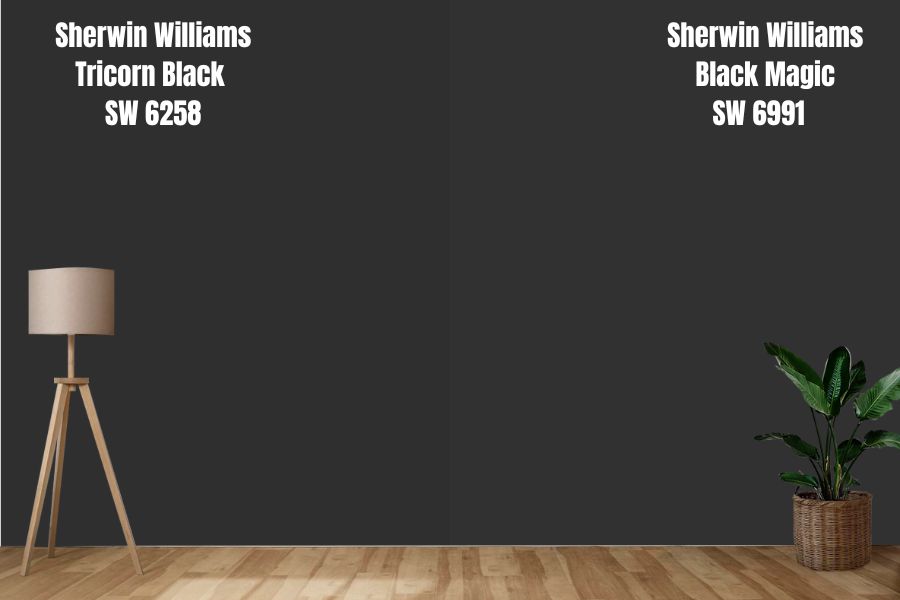 Sherwin Williams Black Magic SW 6991