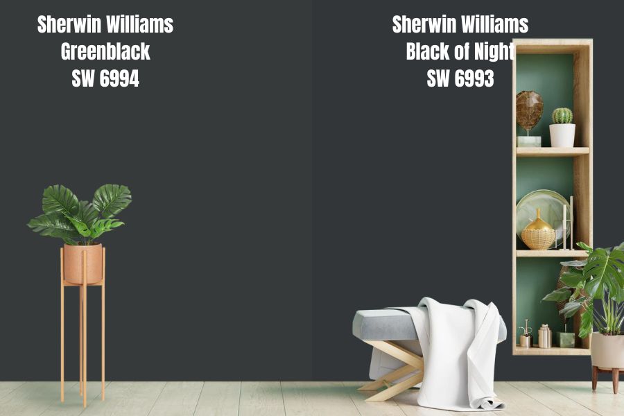 Sherwin Williams Black of Night (SW 6993)