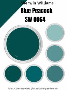 Sherwin-Williams Blue Peacock Paint (SW 0064) Color Review & Pics