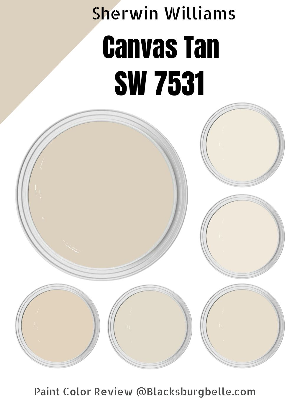Sherwin-Williams (Canvas Tan 7531) Color Review & Pics
