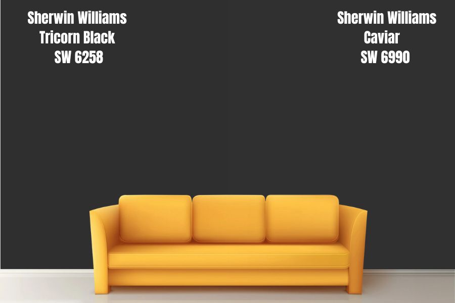 Sherwin Williams Caviar SW 6990