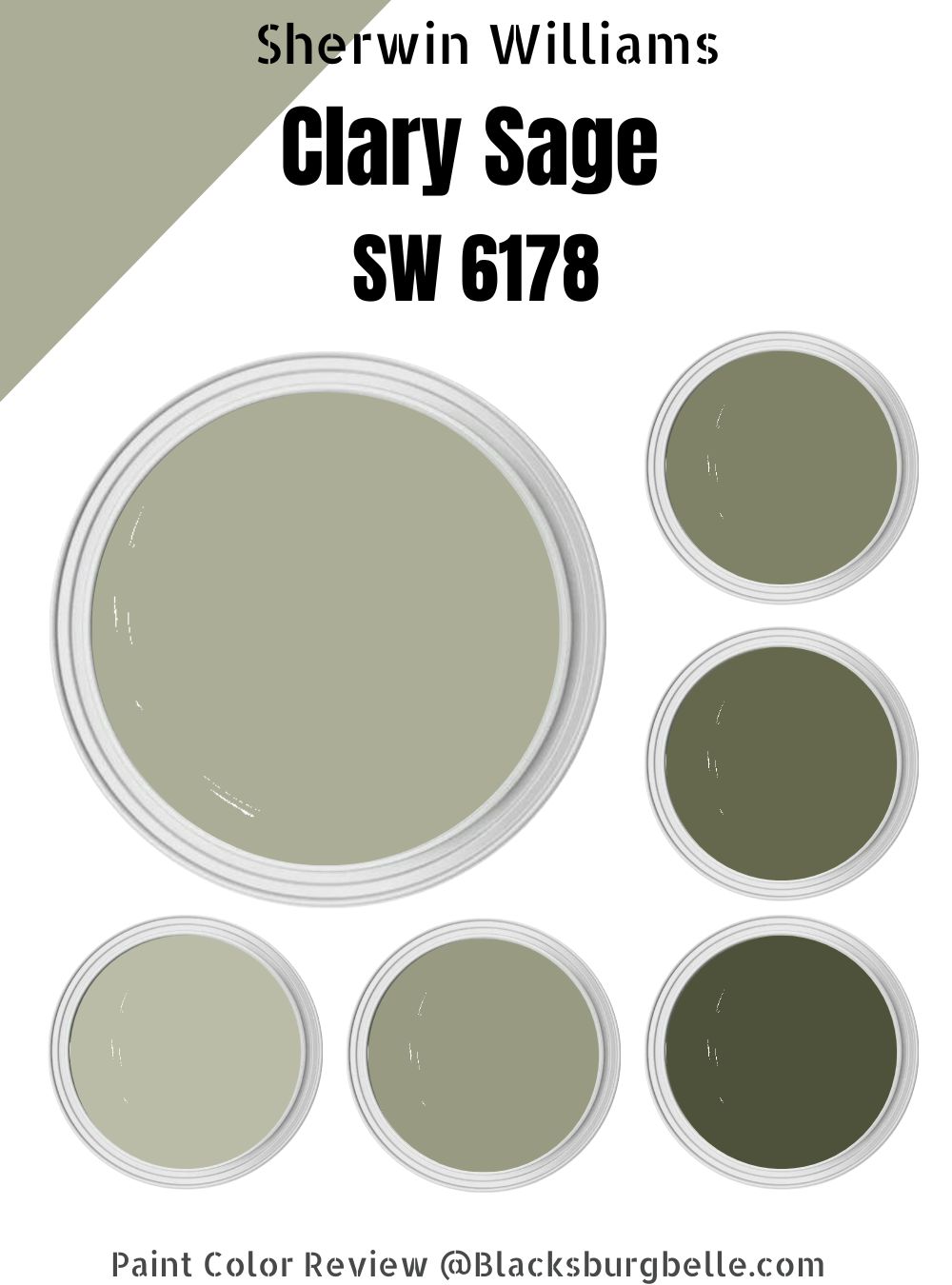 Sherwin Williams Clary Sage SW 6178