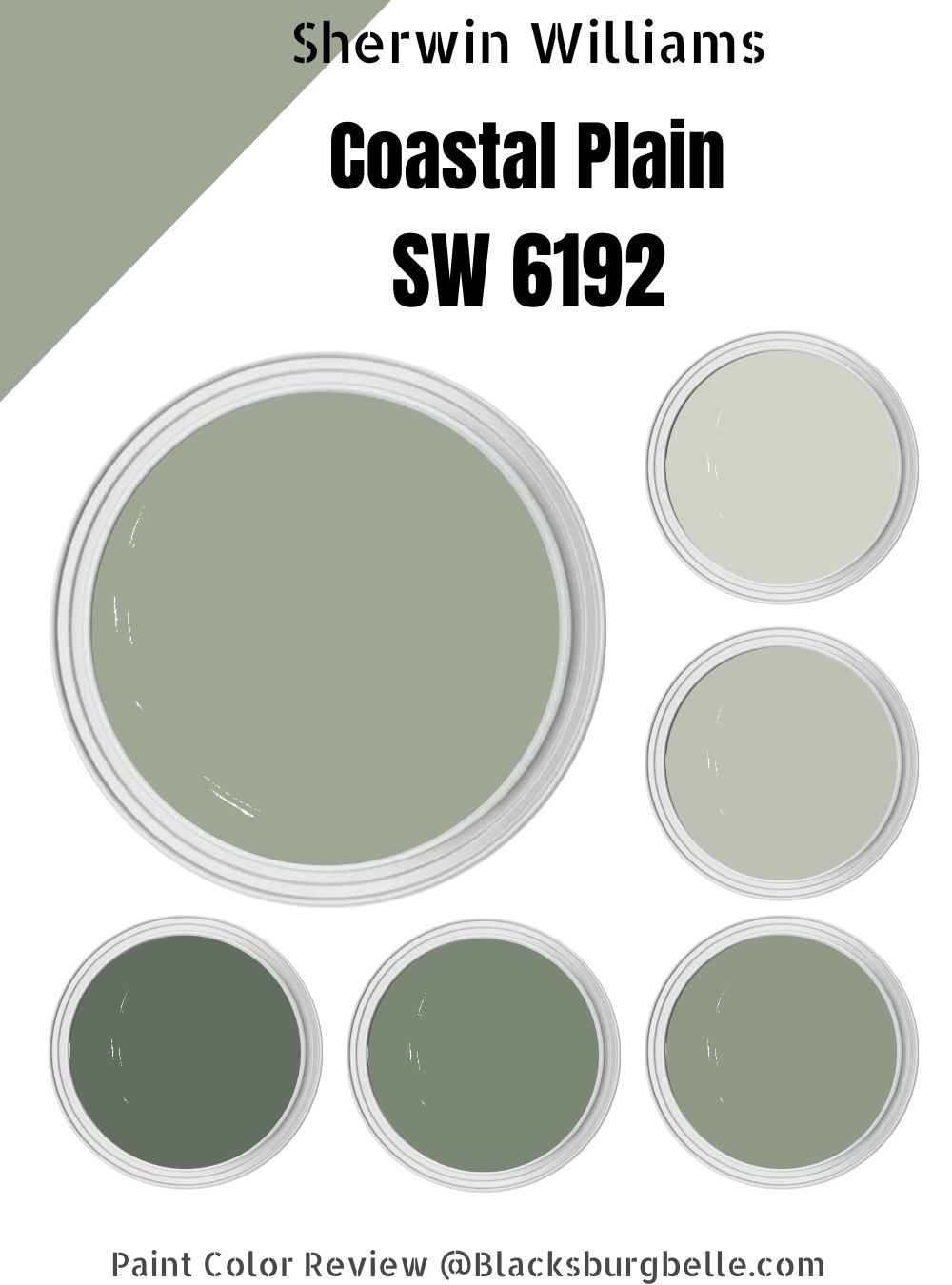 Sherwin Williams Coastal Plain (SW 6192) Paint Color Review